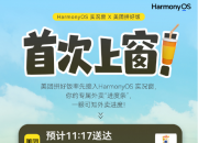�״��ϴ�   HarmonyOS ʵ����x����ƴ�÷� 