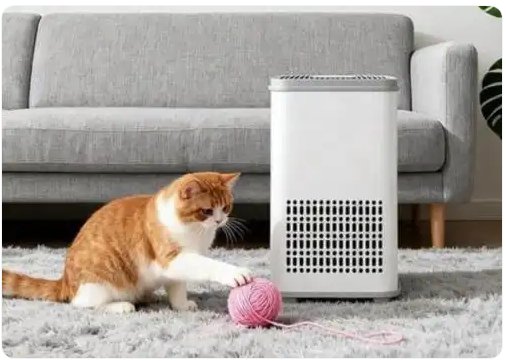 宠物空气净化器哪个牌子好?测评十大年度爆品,铲屎官必看