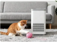 ��������������ĸ����Ӻã�