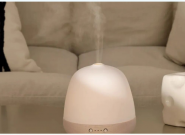 ������û�б�Ҫ��һ̨��ʪ��������Щʹ��������