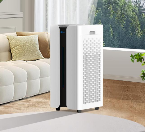 �������20�O����ȩ����Ȩ����2025��������������ʮƷ��