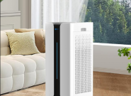 �������20�O����ȩ����Ȩ����2025��������������ʮƷ��