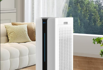 �������20�O����ȩ����Ȩ����2025��������������ʮƷ��