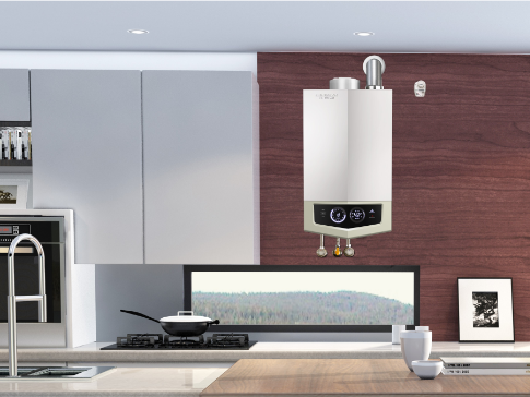 ȼ����ˮ������ѡ��ָ��