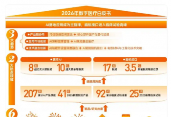 2025����ҽ����״��°�Ƥ�飺AI���Ի��ӿڽ�ϳ�������