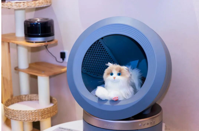 ������꼴����أ������õ�������淶����չ�½׶�