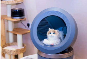 ������꼴����أ������õ�������淶����չ�½׶�