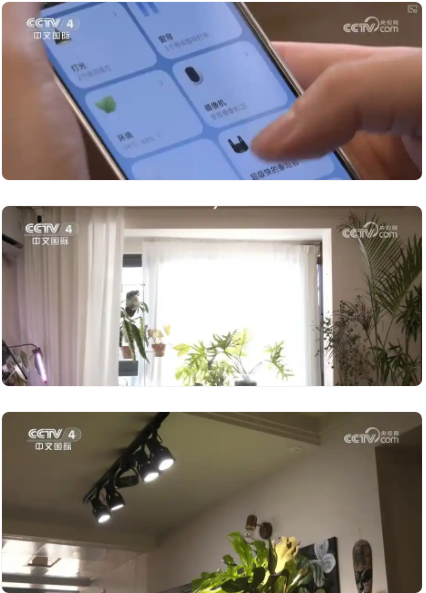 ��ȫ�����ܡ���Ϊ������ʱ�� �ҵ������ͷ�ȫ�¡��ǡ���