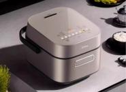 ���Ǻ�IH���ȳ�Ϊ�±��㣬�߶˵緹�����ܼ�ͥ������ʳ