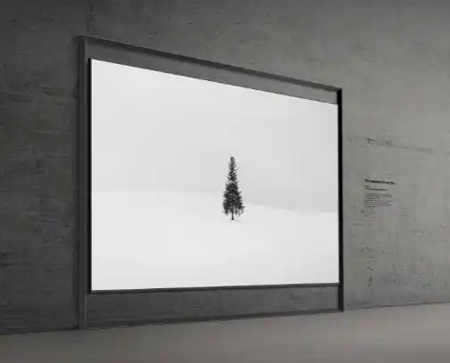 CES 2026   ������չʾAI����ʾ�����볡���ں��ϵ����³ɹ�