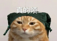 ���ʱ��Ŀ���Cλ��TCL A400 Pro�κ����ҵ�װ�޽���