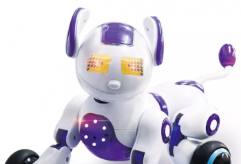 ��������������ǻۻ�顱