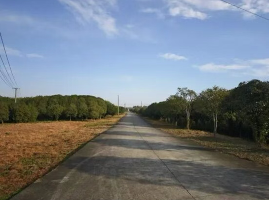 Զ������ۼٷ粨�����飺���꼦������һ������Ϊ����ָ��