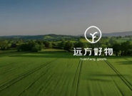 Զ������ۼٷ粨�����飺���꼦������һ������Ϊ����ָ��