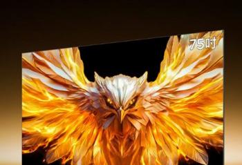 2025��������Ȳʵ���ҵҵ���ֻ�����������Ϊ�ʵ��г�����������