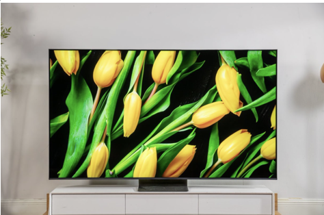 ���ٱ���α���ۡ�ƭ�ˣ�TCL Q9M Pro�����滤��+���ʶ�