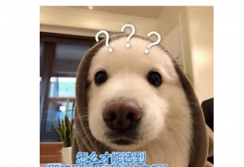 ���ӻ��۸������Ƿ�������ô�򵥣�90%���˶��ȹ��ӣ�