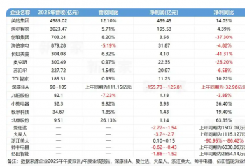 �ҵ���ҵ2025��ҵ���̵㣺ͷ��ռ��7600��Ӫ�գ������ֻ��Ӿ�