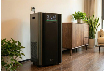 2026 �·���ȩ��Ⱦ�����Ƥ�飺�����������ļ���·����ʵսЧ������