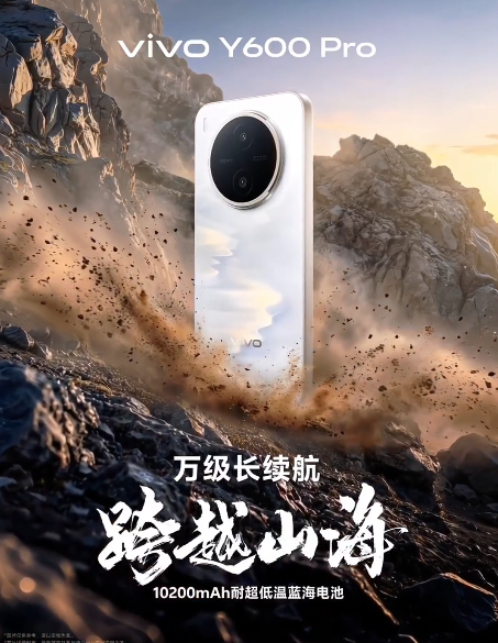 vivo Y600 Pro  10200mAh�͵����������