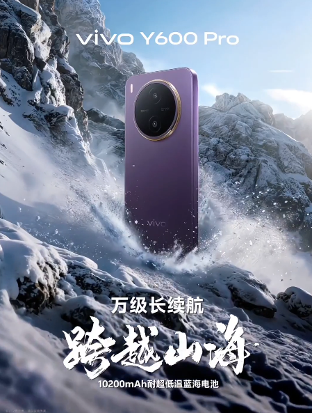 vivo Y600 Pro  10200mAh�͵����������