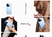  һ�����С���ֻ�+�ֻ�+�������붥������